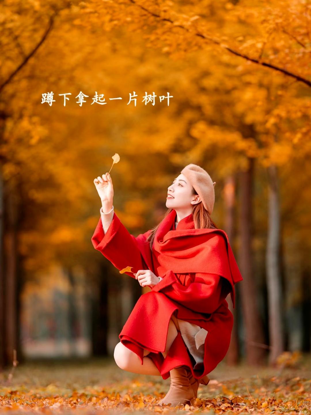 秋天银杏拍照,9个姿势,拍照优雅漂亮又高级,氛围感满满