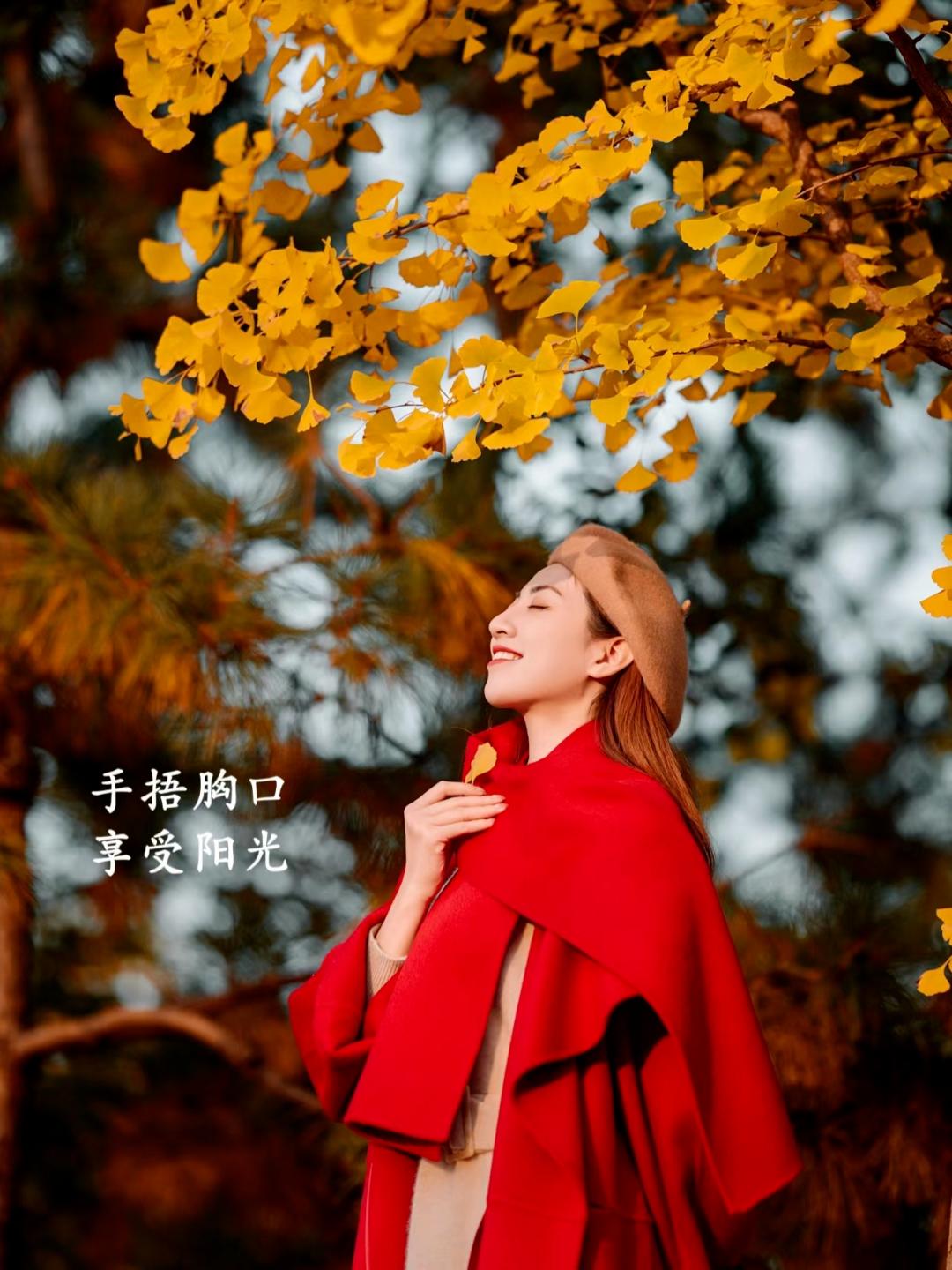 秋天银杏拍照,9个姿势,拍照优雅漂亮又高级,氛围感满满