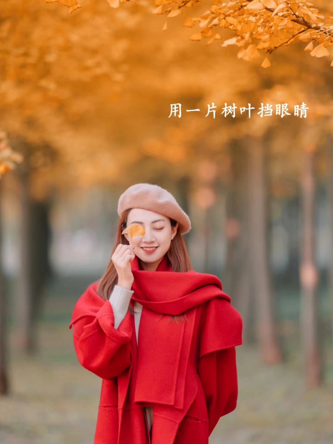 秋天银杏拍照,9个姿势,拍照优雅漂亮又高级,氛围感满满