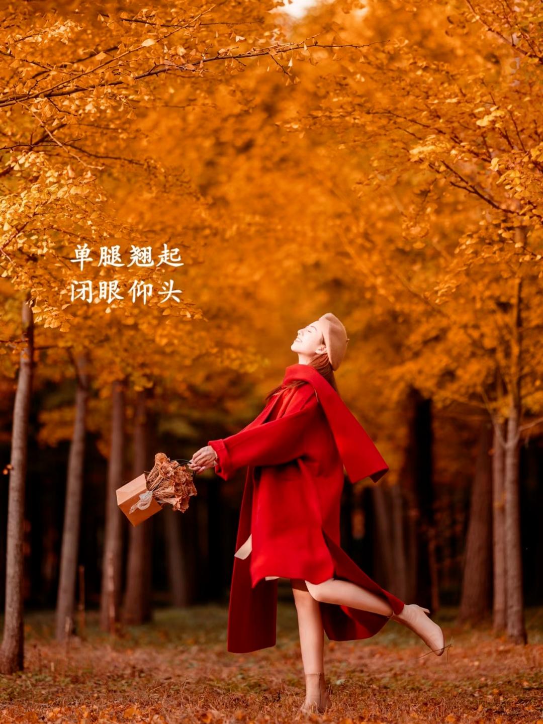 秋天银杏拍照,9个姿势,拍照优雅漂亮又高级,氛围感满满