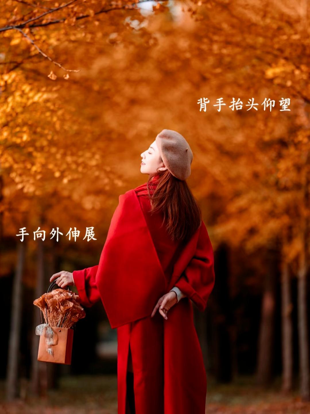 秋天银杏拍照,9个姿势,拍照优雅漂亮又高级,氛围感满满