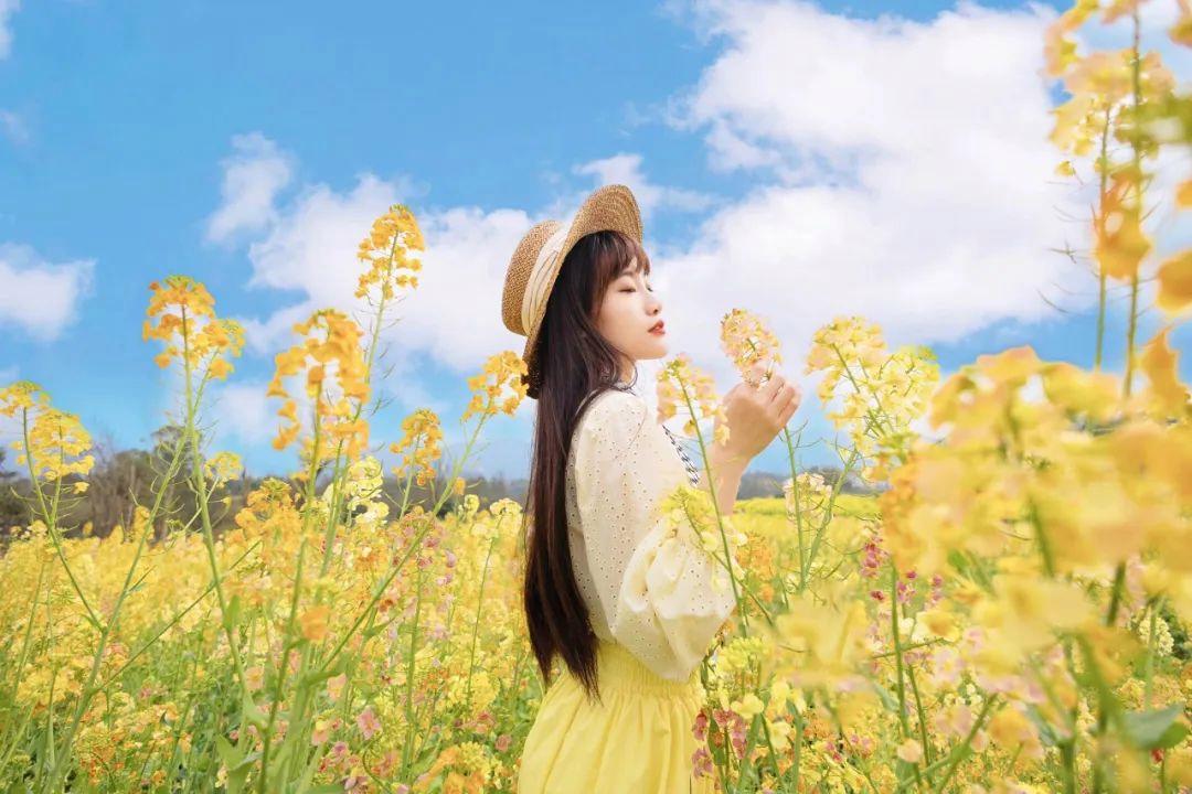 春天油菜花拍照技巧,光线、构图、焦距,学起来拍照很好看