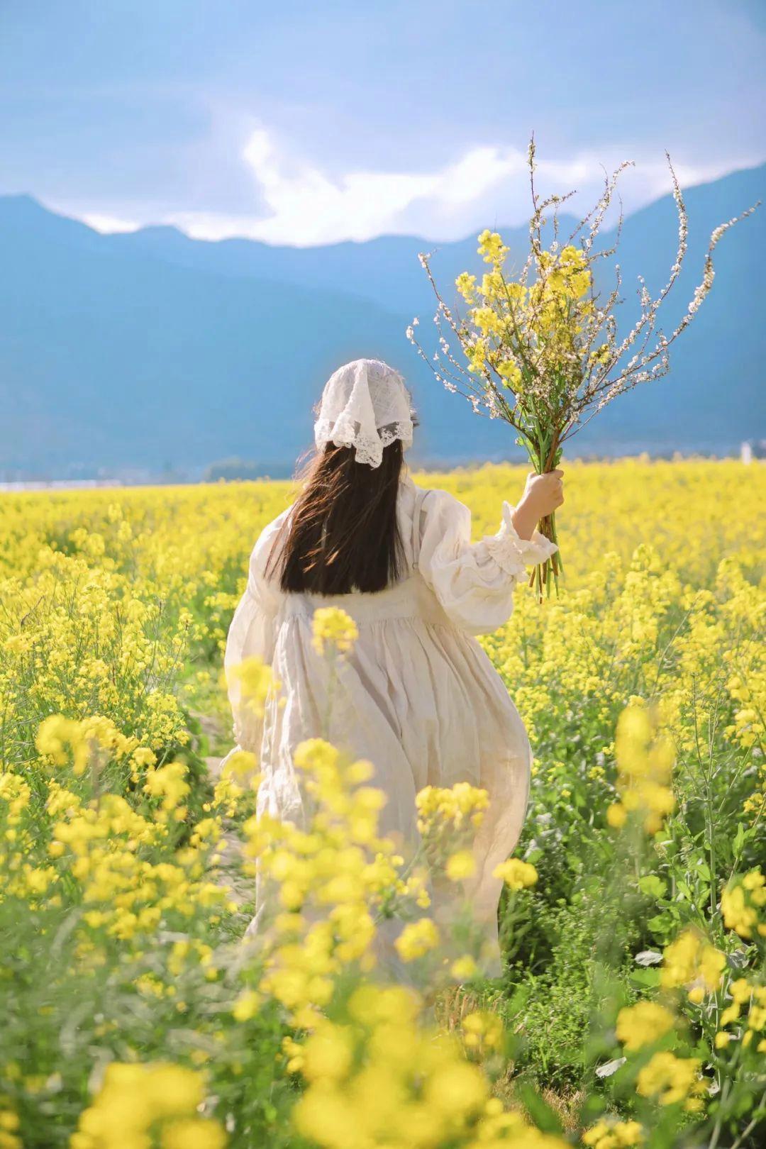 春天油菜花拍照技巧,光线、构图、焦距,学起来拍照很好看