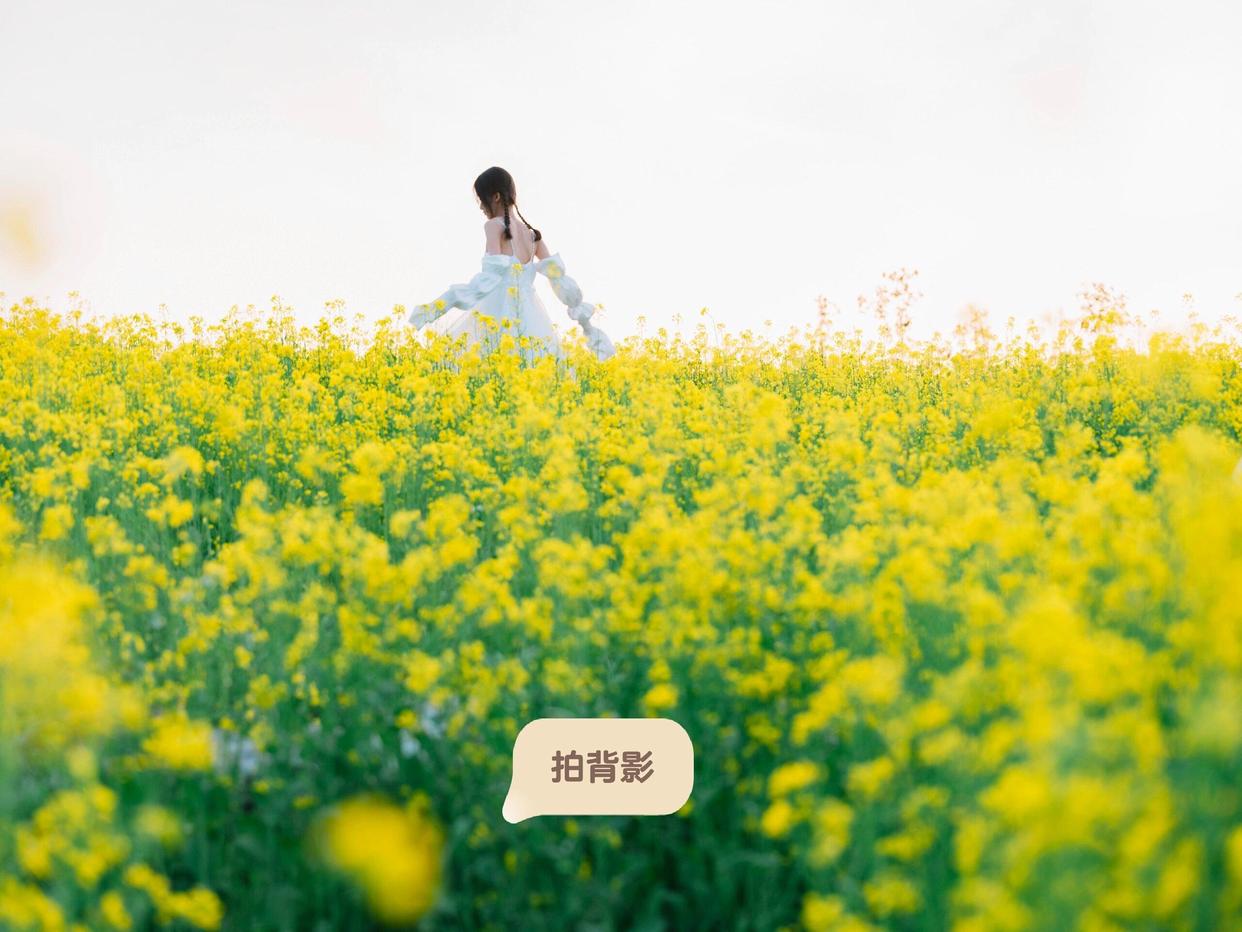 14个油菜花拍照姿势,油菜花这样拍,好看又有氛围感