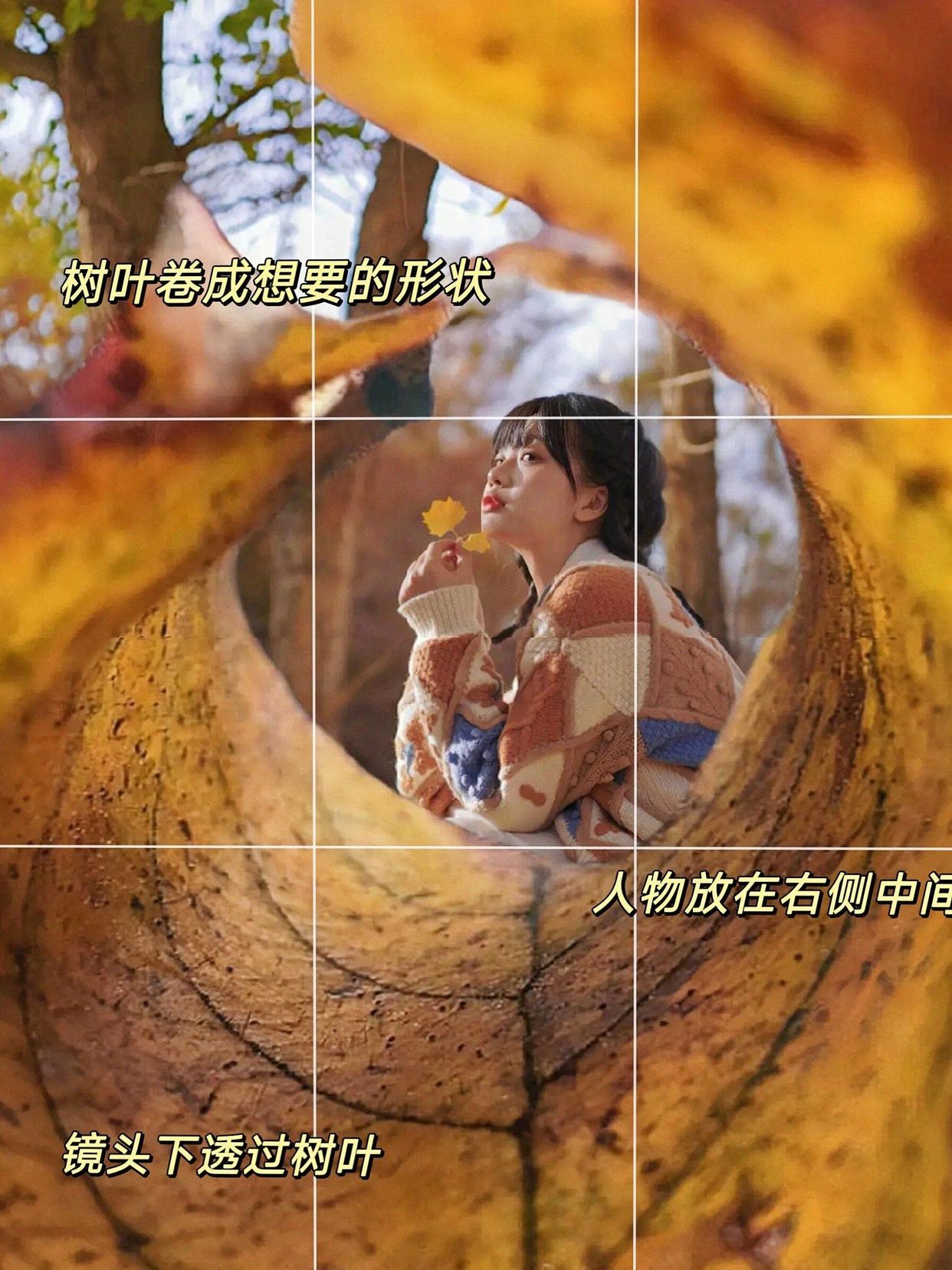 枫叶拍照别乱拍,8个拍照方法,学会拍出秋冬美美氛围感