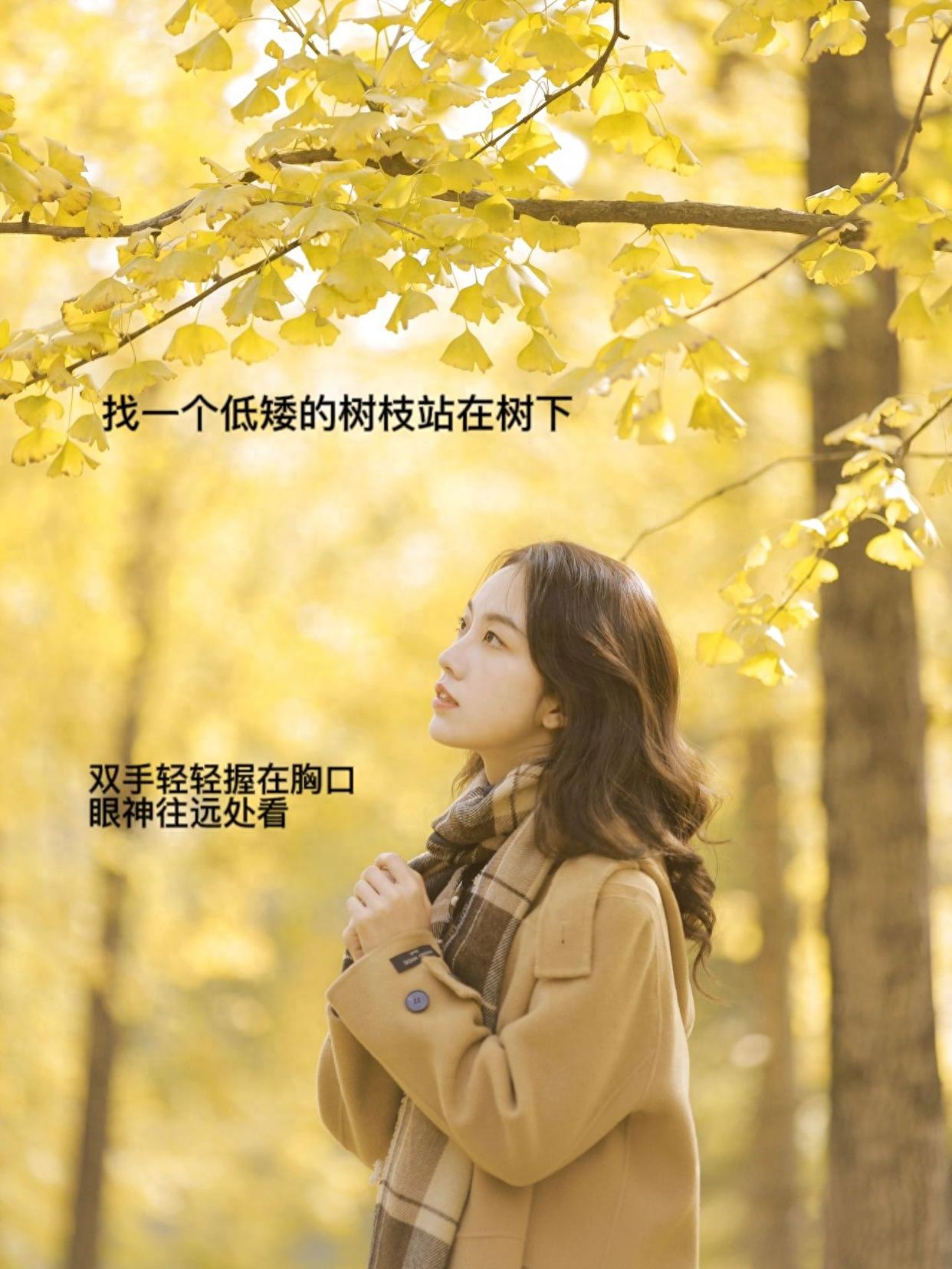 秋天银杏拍照,9个姿势技巧可分享,拍照温柔又好看