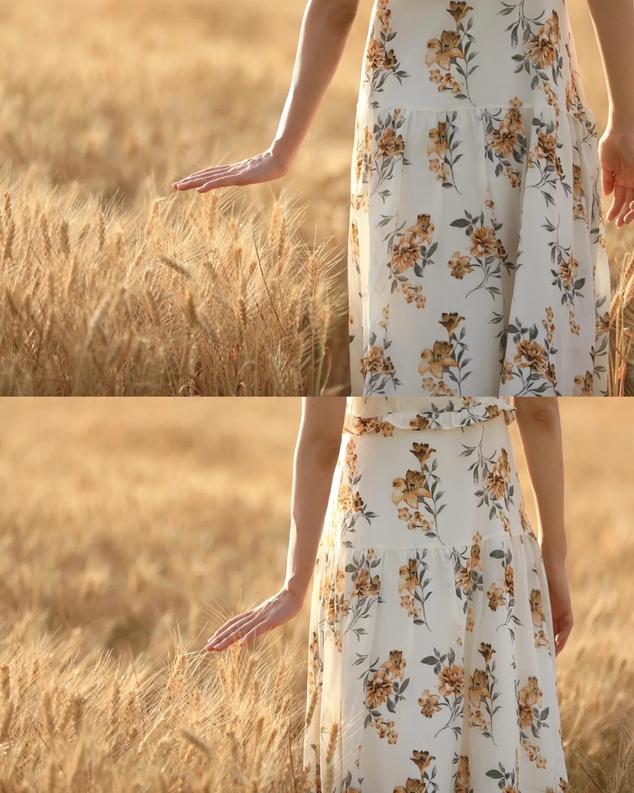 麦田人像摄影,怎么拍才更唯美、漂亮,9个技巧帮你拍美麦田人像