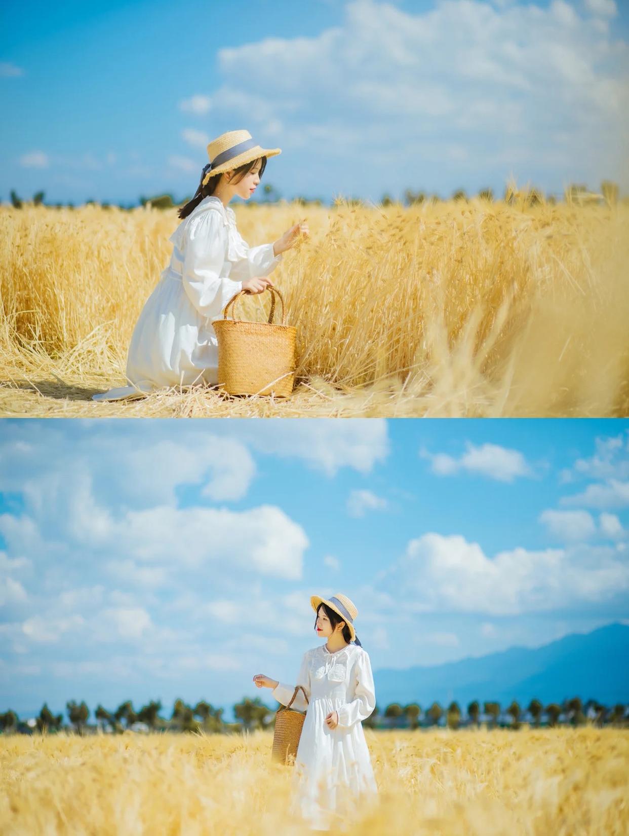 麦田人像摄影,怎么拍才更唯美、漂亮,9个技巧帮你拍美麦田人像
