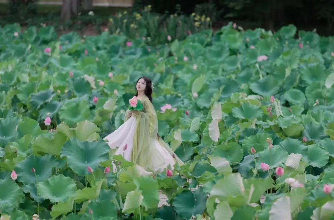 把荷花人像拍美,8个技巧值得一学,发朋友圈获赞无数