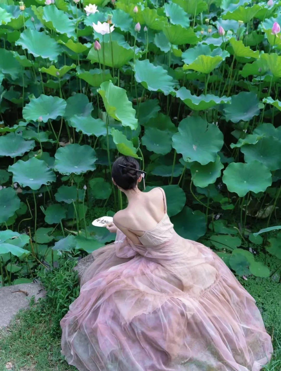 把荷花人像拍美,8个技巧值得一学,发朋友圈获赞无数