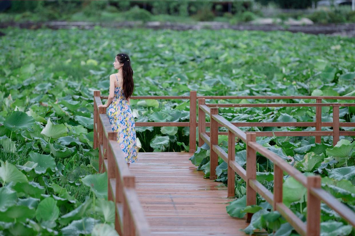 把荷花人像拍美,8个技巧值得一学,发朋友圈获赞无数