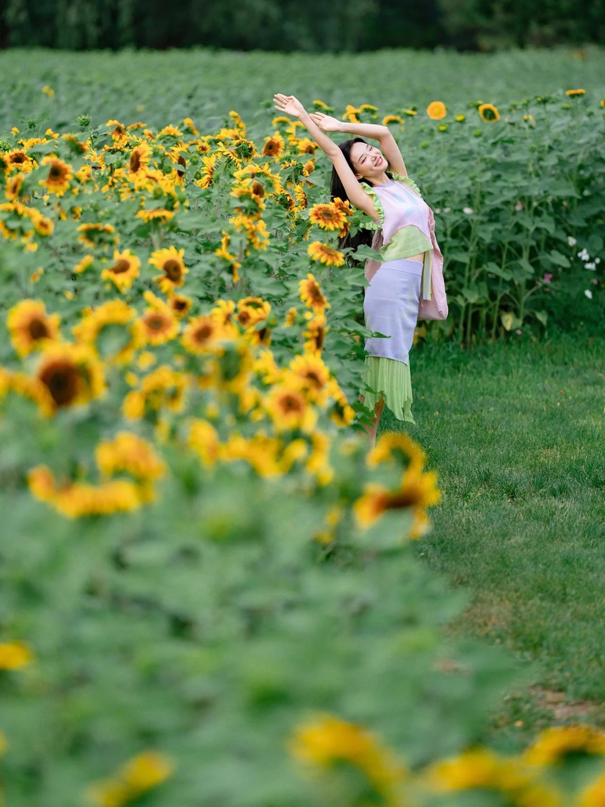 拍好向日葵人像美照,8个技巧很重要,手机拍也能又美又自然