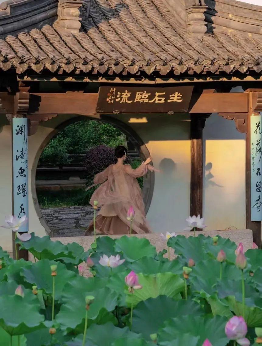 把荷花人像拍美,8个技巧值得一学,发朋友圈获赞无数