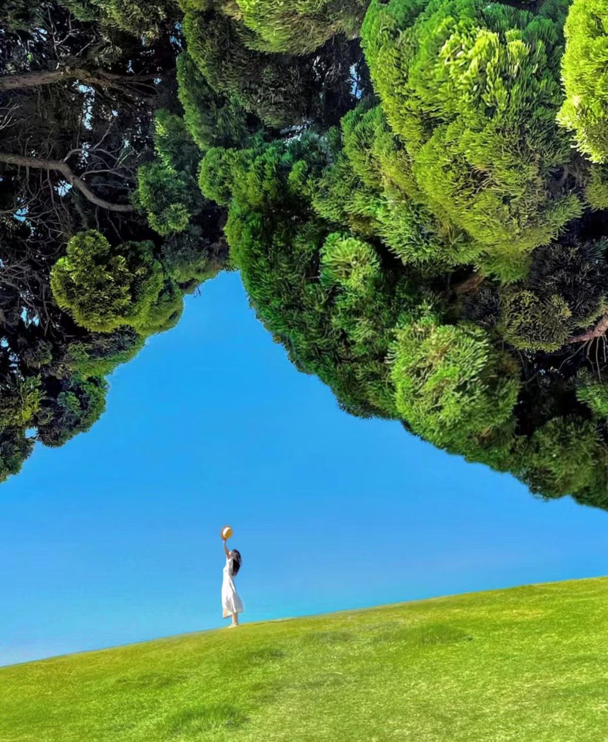 摄影师总结的拍摄技巧,拍照显瘦上镜有氛围,照片好看很惊艳