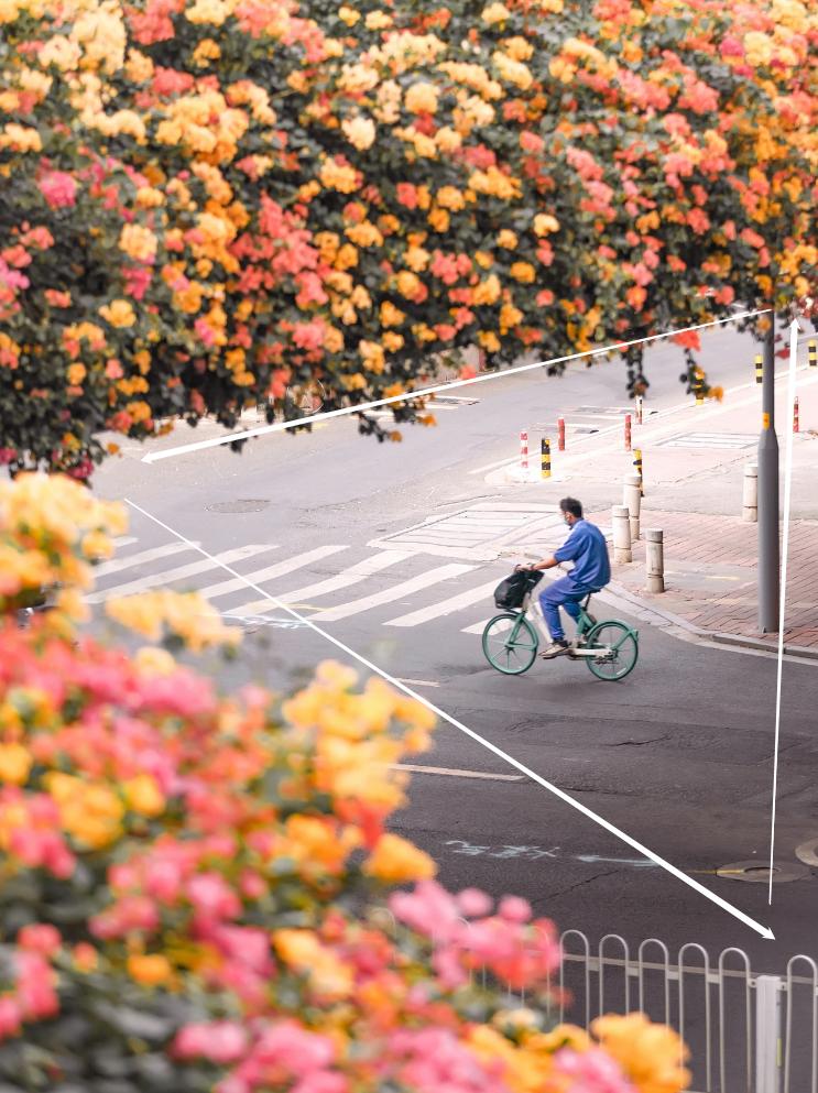 摄影新手必学,8个拍照构图,拍照好看的摄影师都在用