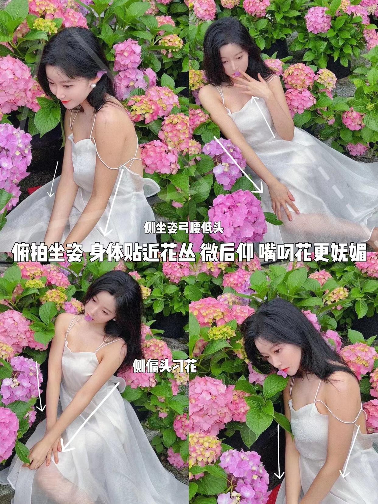 绣球花氛围感拍照教程,从姿势、角度、机位,教你拍自然美照
