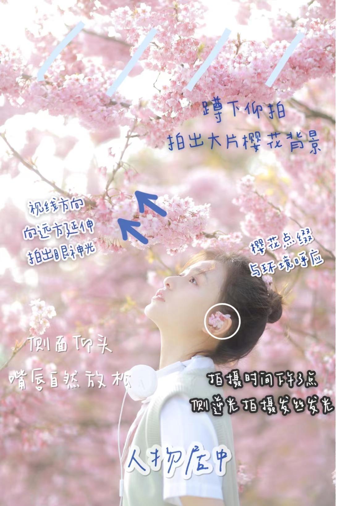 和花合照,试试这些通用的拍摄方法,拍照一个比一个好看