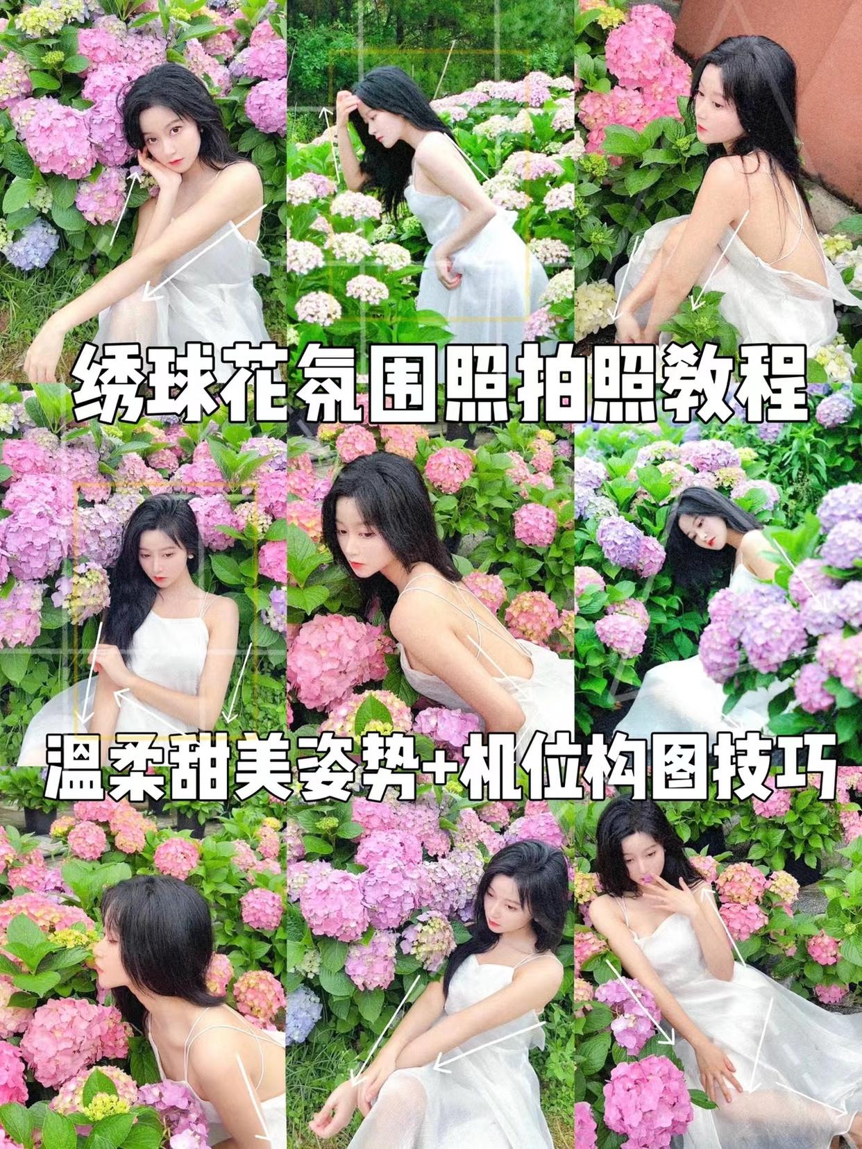 绣球花氛围感拍照教程,从姿势、角度、机位,教你拍自然美照