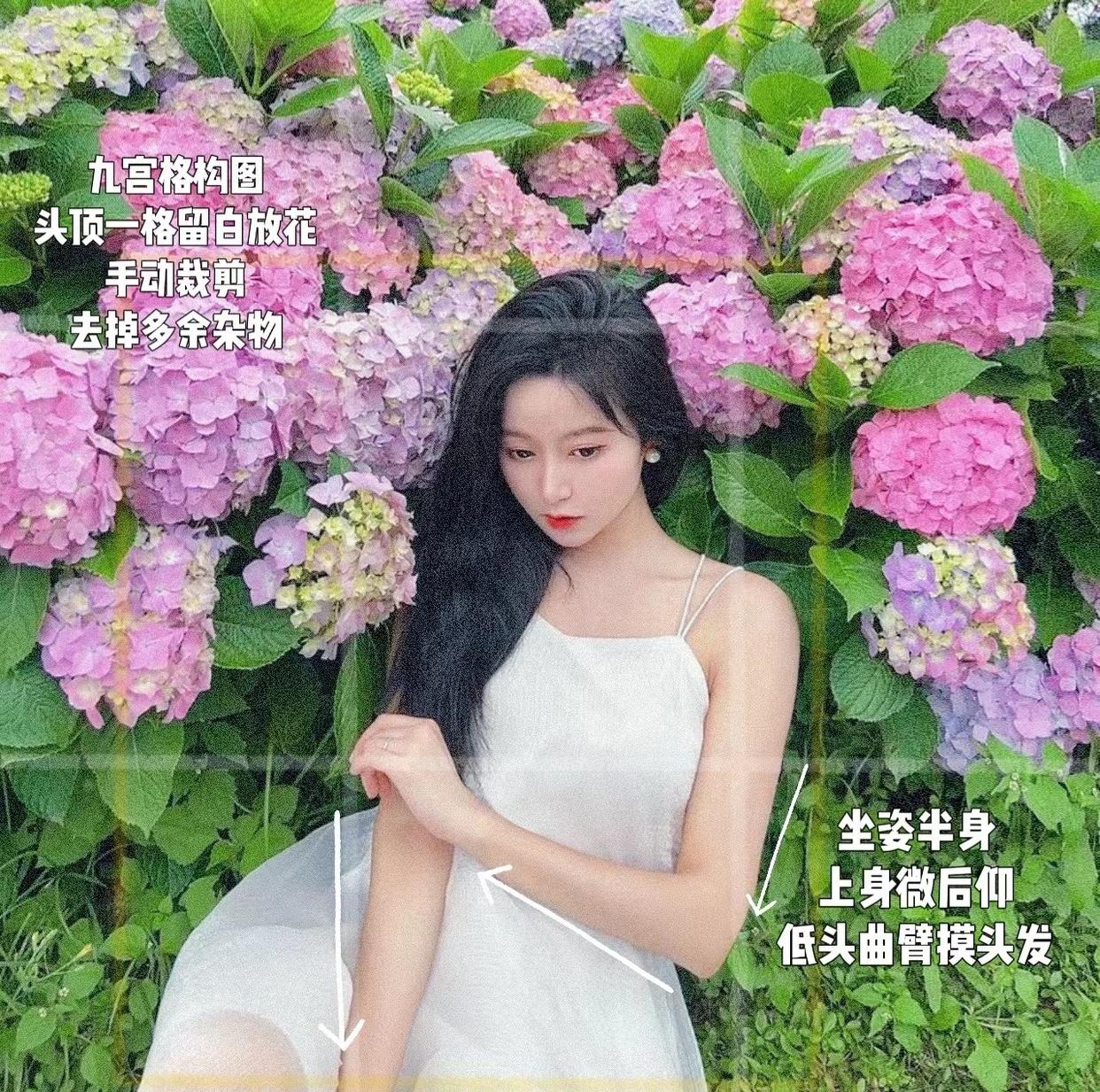 绣球花氛围感拍照教程,从姿势、角度、机位,教你拍自然美照