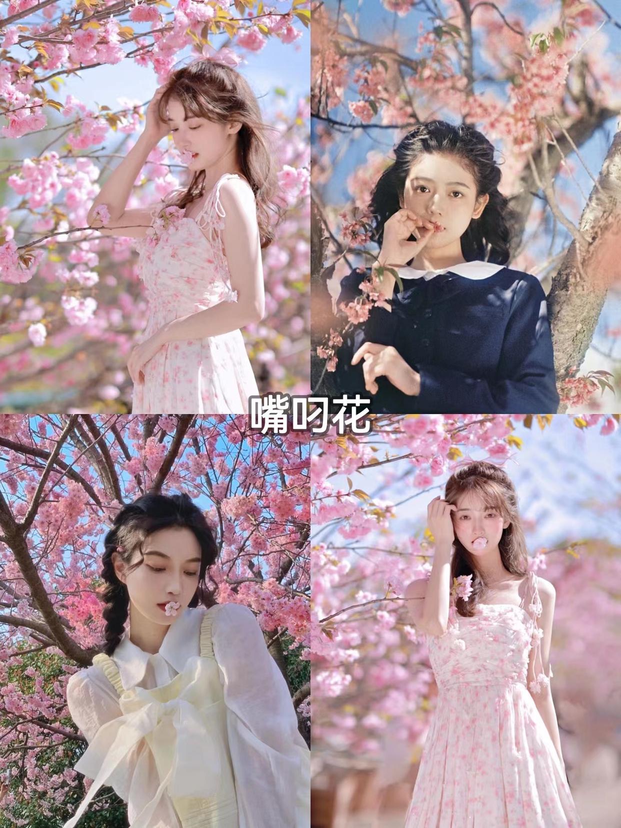 和花合照,试试这些通用的拍摄方法,拍照一个比一个好看