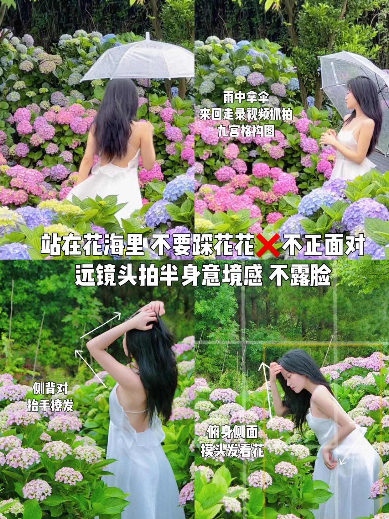 绣球花氛围感拍照教程,从姿势、角度、机位,教你拍自然美照