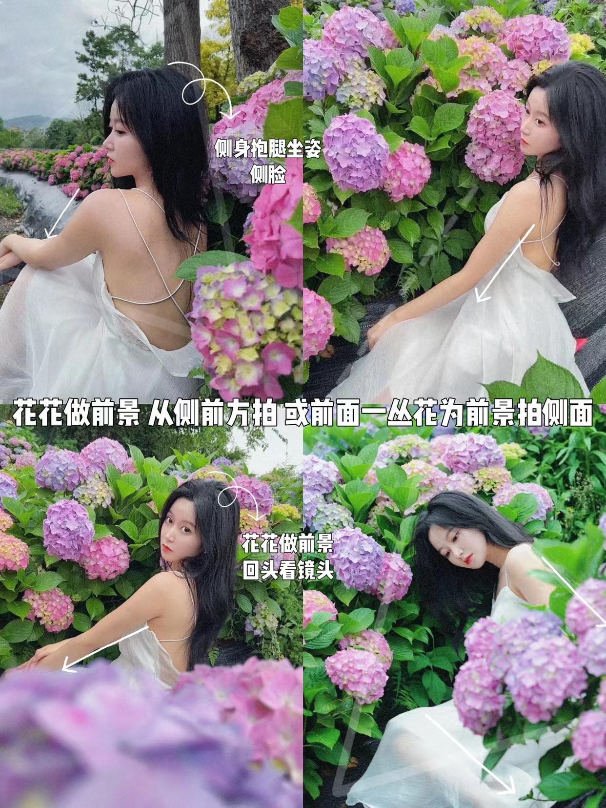 绣球花氛围感拍照教程,从姿势、角度、机位,教你拍自然美照