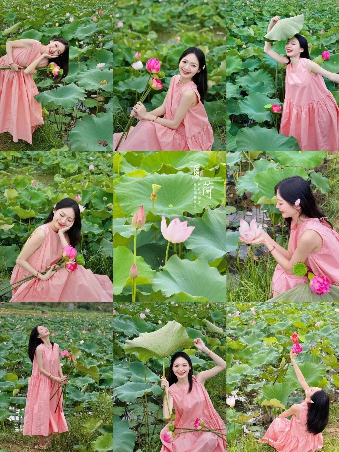 荷花拍照,10个拍照姿势学起来,拍照上镜漂亮、气质又出片