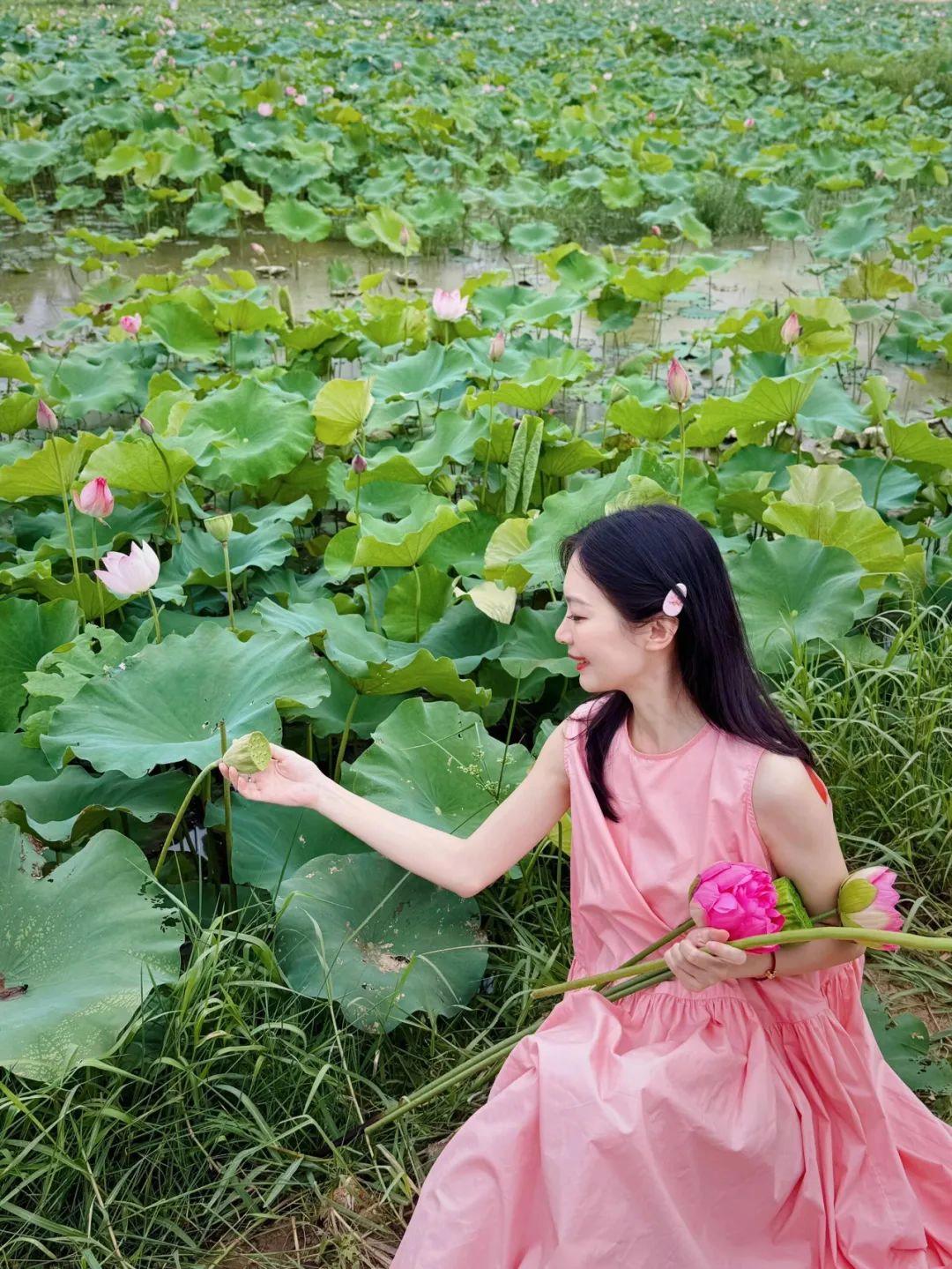 荷花拍照,10个拍照姿势学起来,拍照上镜漂亮、气质又出片
