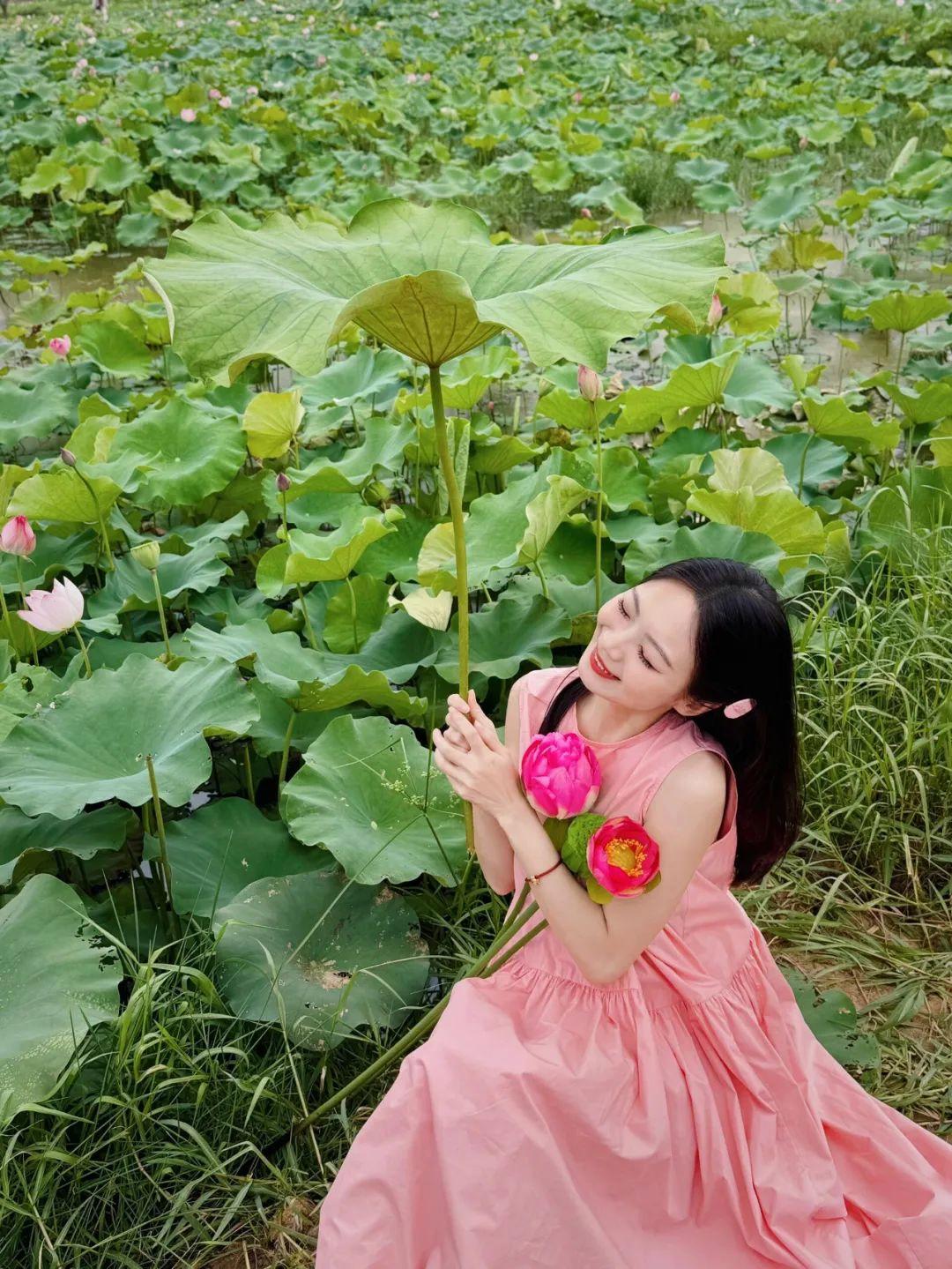 荷花拍照,10个拍照姿势学起来,拍照上镜漂亮、气质又出片
