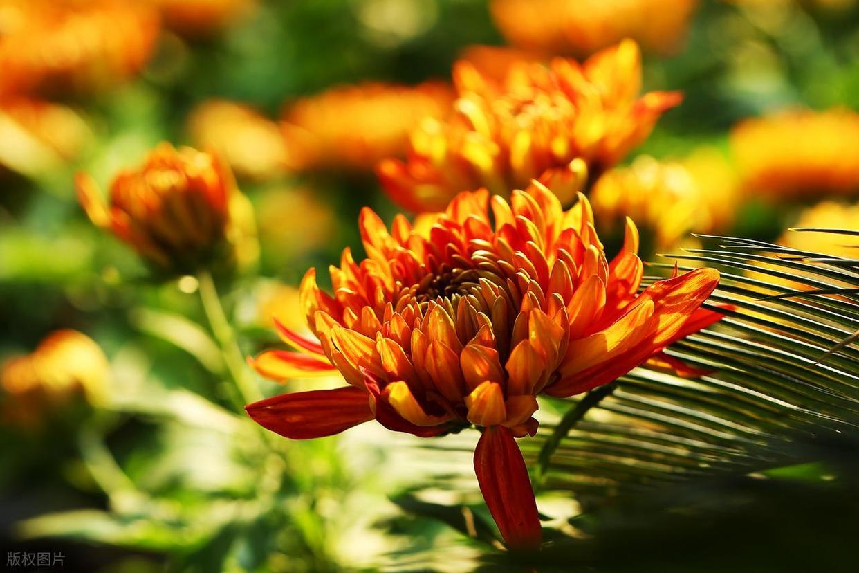 从“乱拍”到“出片”,摄影人的秘密全公开!