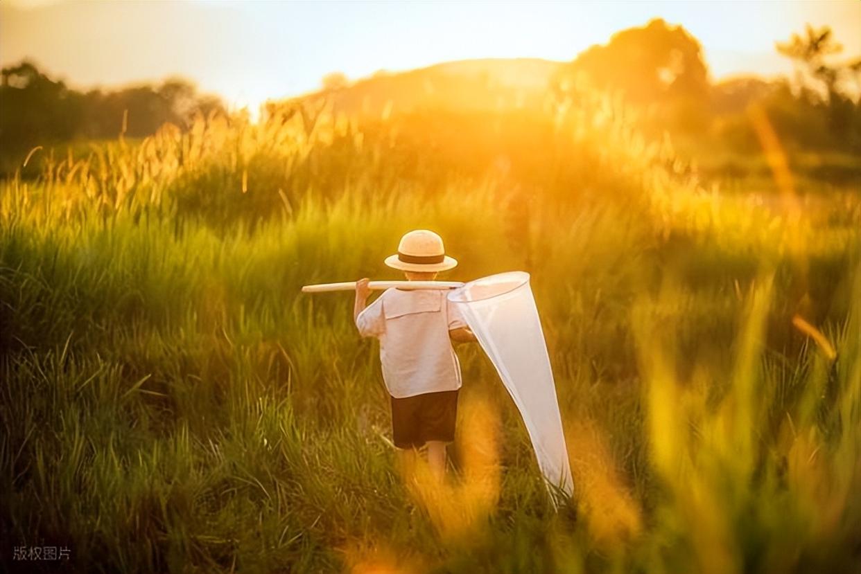 三步进阶:从合格到动人的人像摄影心法