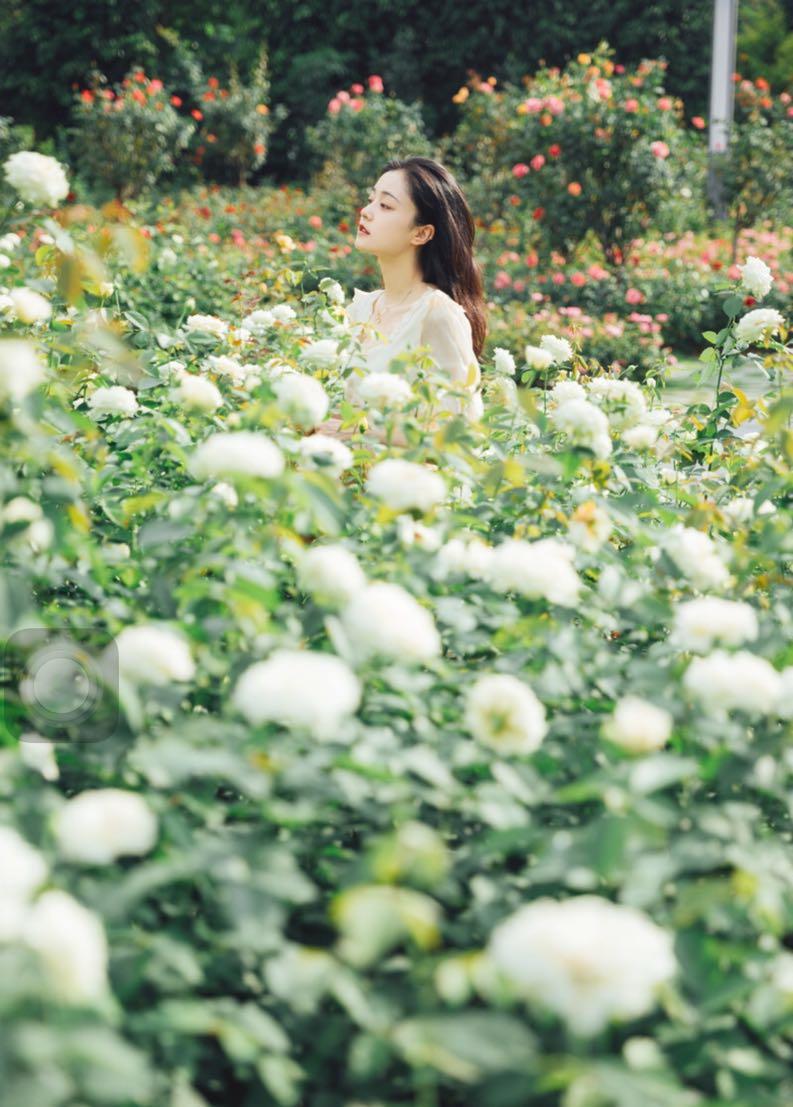 花丛拍摄人像照的7个通用姿势,学起来,怎么拍都好看