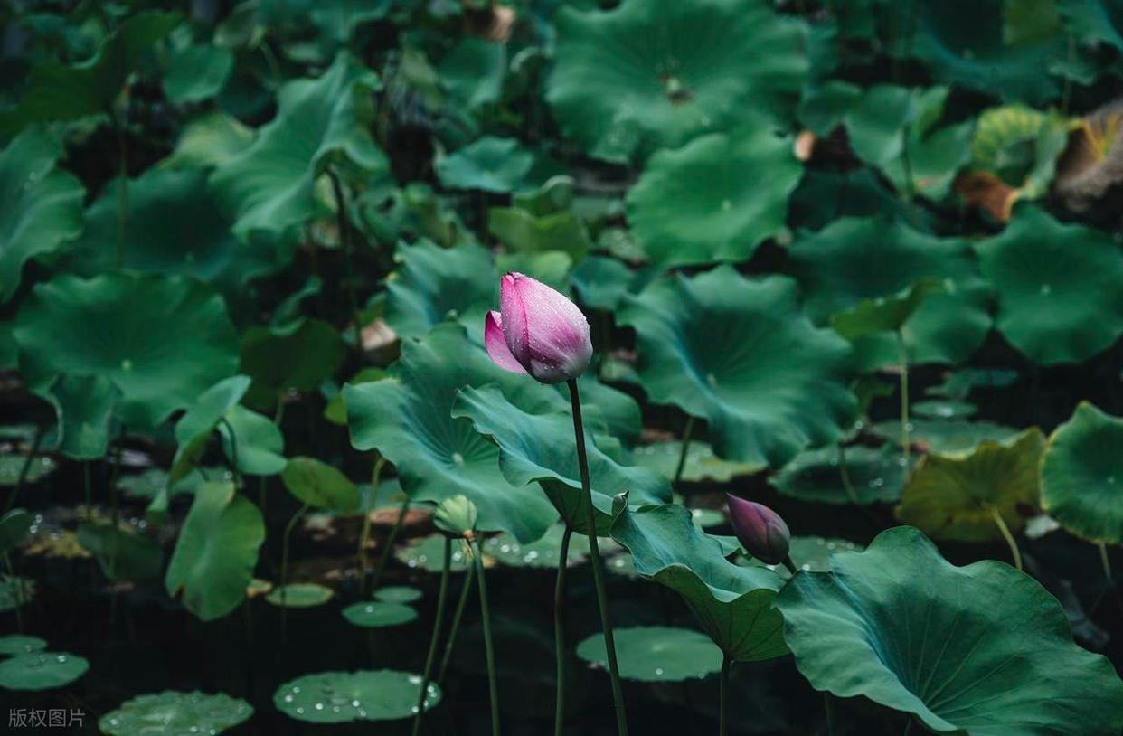 从“乱拍”到“出片”,摄影人的秘密全公开!