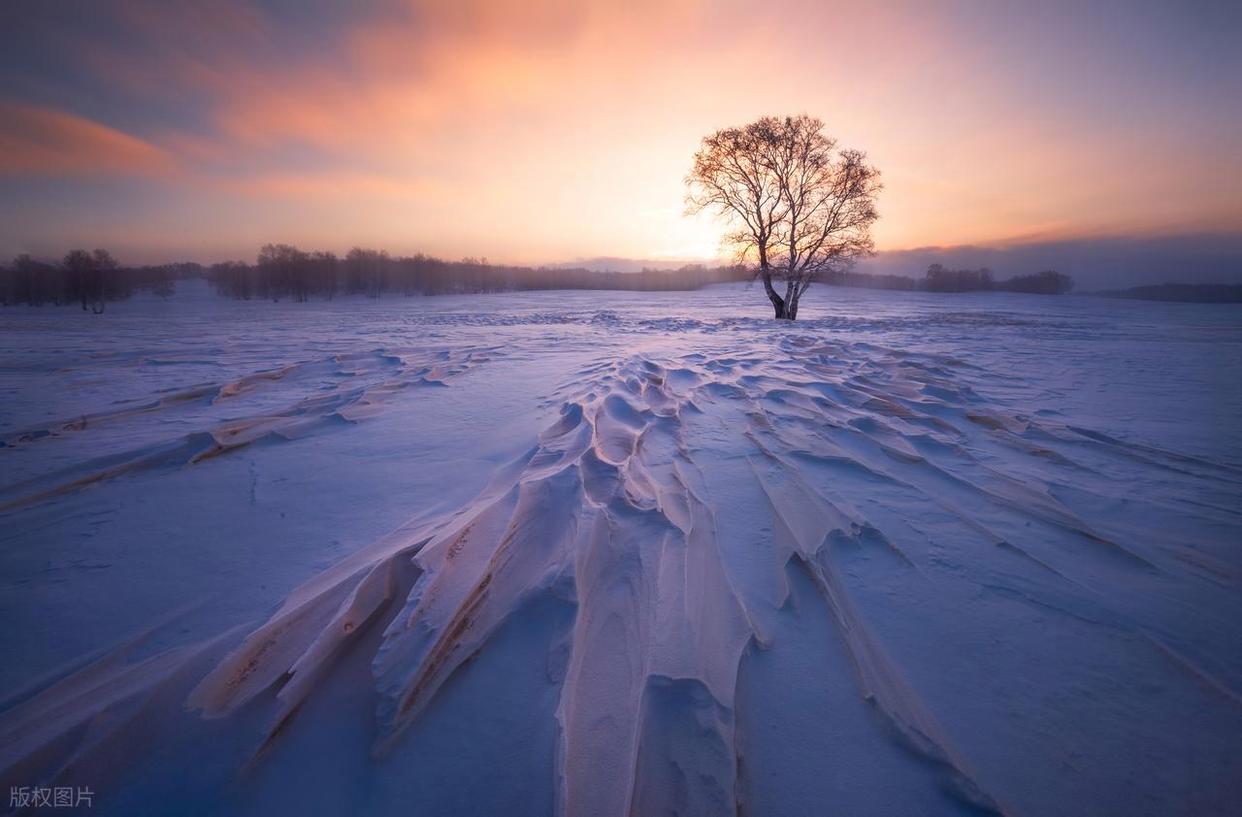 摄影,是器材的较量,还是艺术的探索?