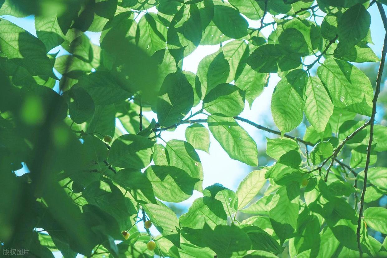 从“乱拍”到“出片”,摄影人的秘密全公开!