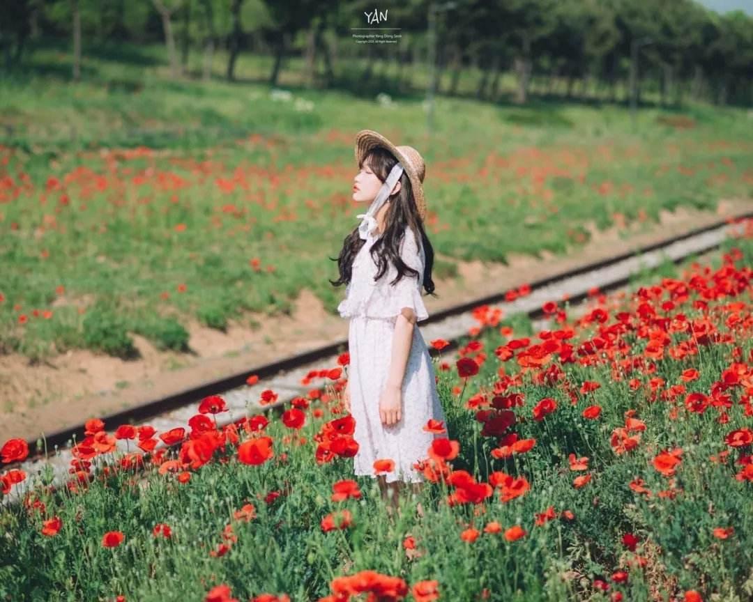 穿着裙子拍美照,9个户外拍摄小技巧,拍出女生的文艺感