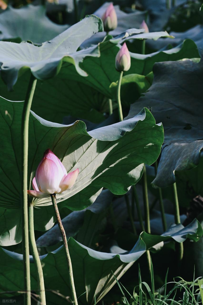 从“乱拍”到“出片”,摄影人的秘密全公开!