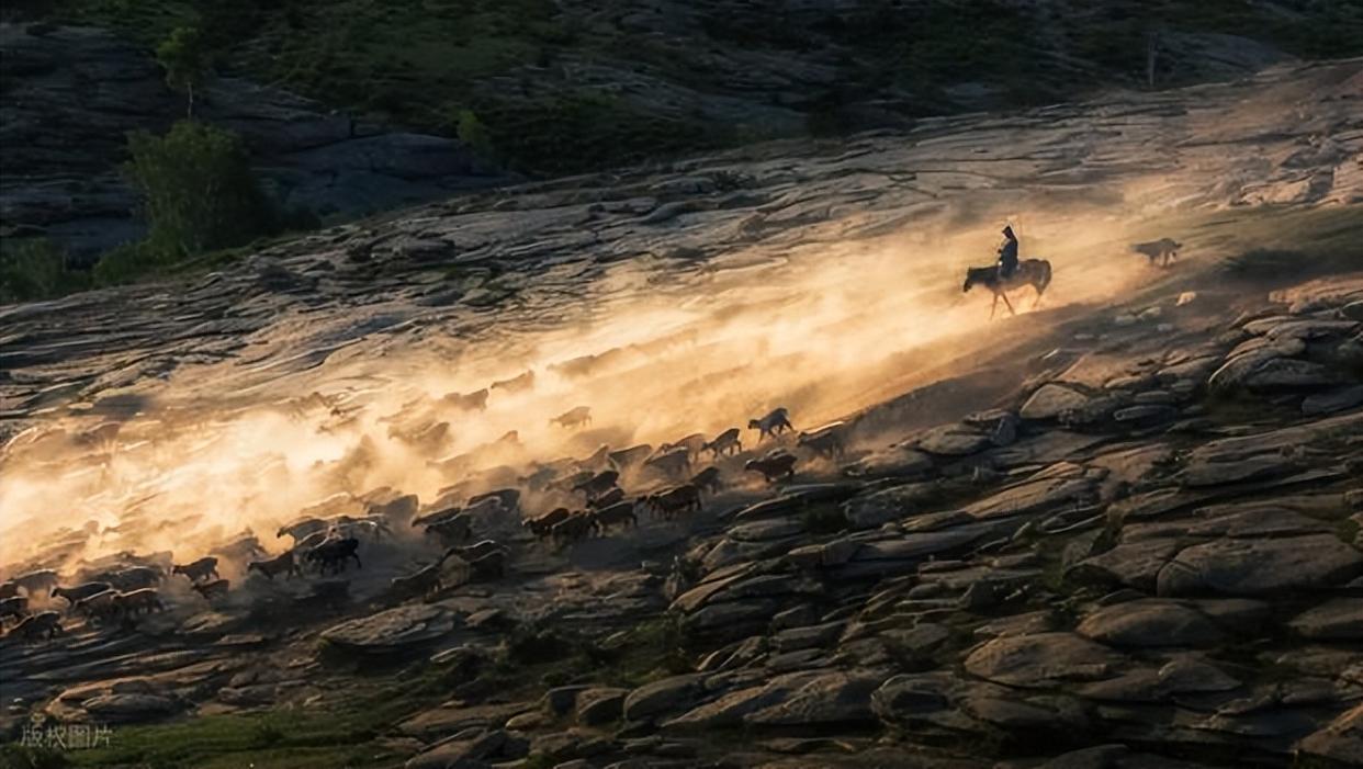 35mm 镜头:初学者的 “难驾驭” 还是 “潜力股”?