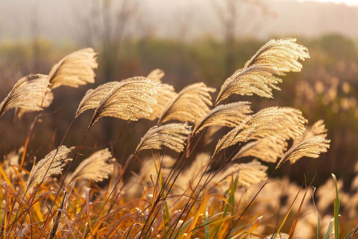 从“乱拍”到“出片”,摄影人的秘密全公开!