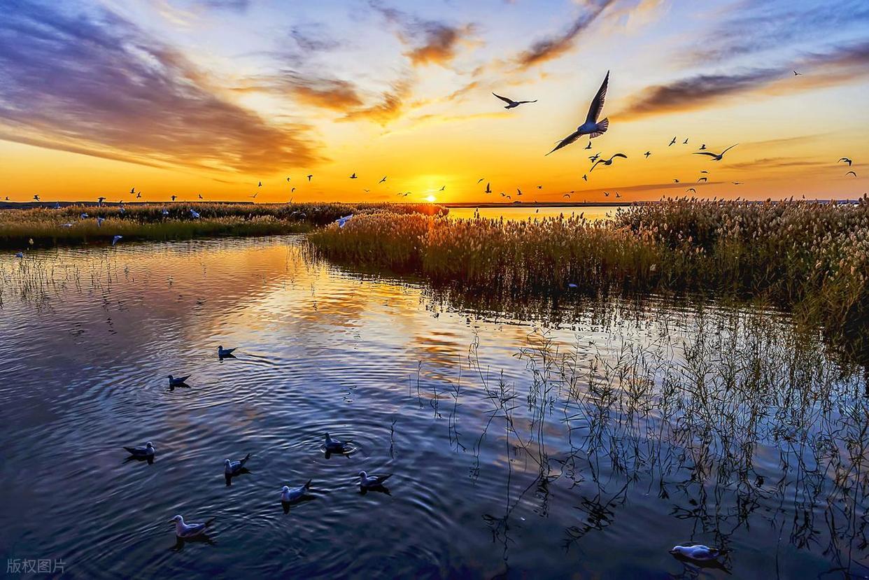 从“乱拍”到“出片”,摄影人的秘密全公开!